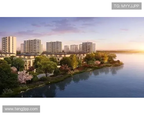 刘伟独家分享网球技巧与心得助你提升球技的秘密之旅